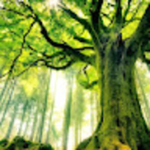 Meet your Posher, Whitney